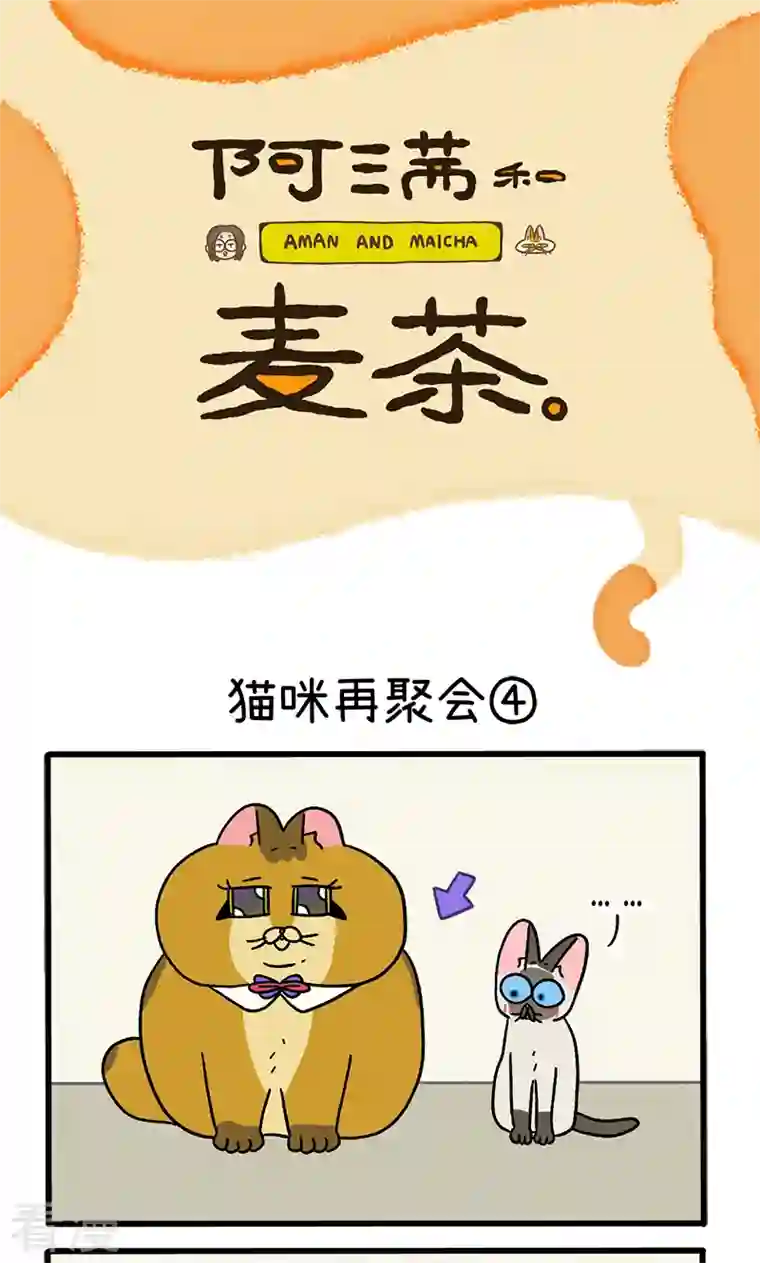 阿满和麦茶第82话2 猫咪再聚会