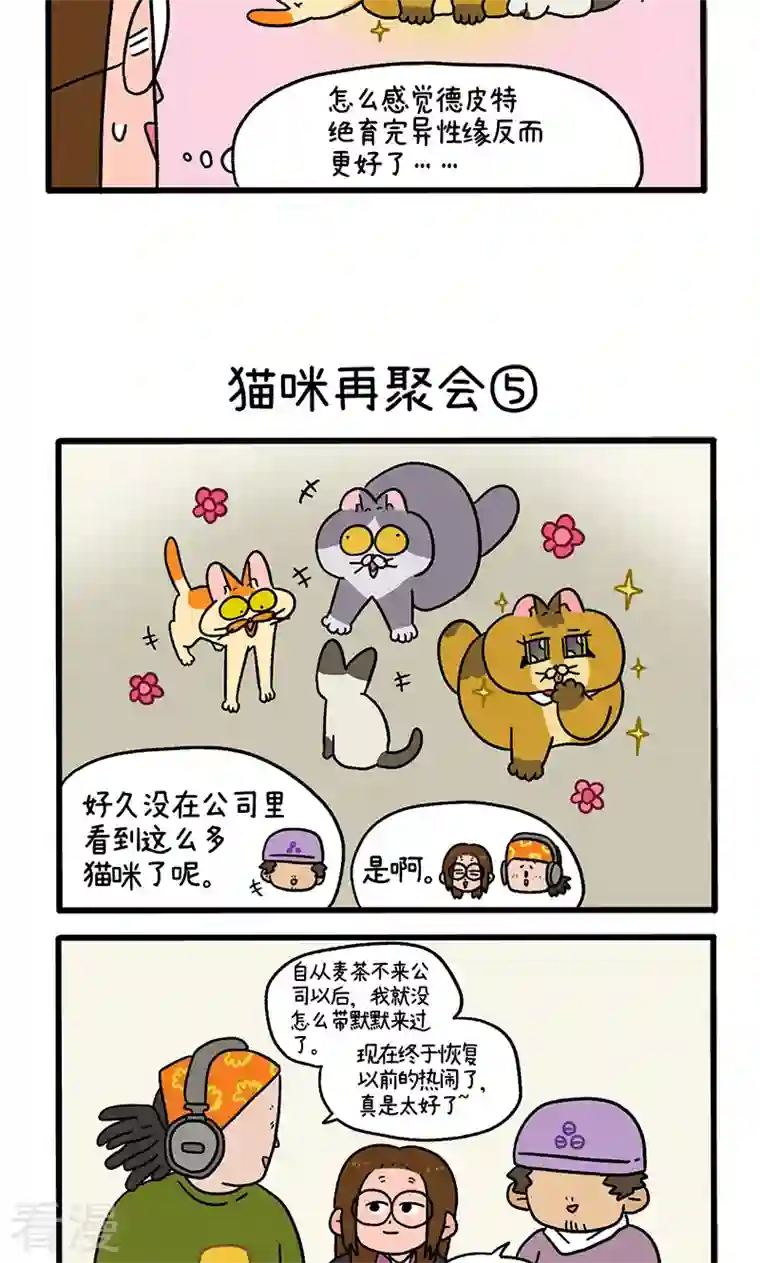 阿满和麦茶第82话2 猫咪再聚会