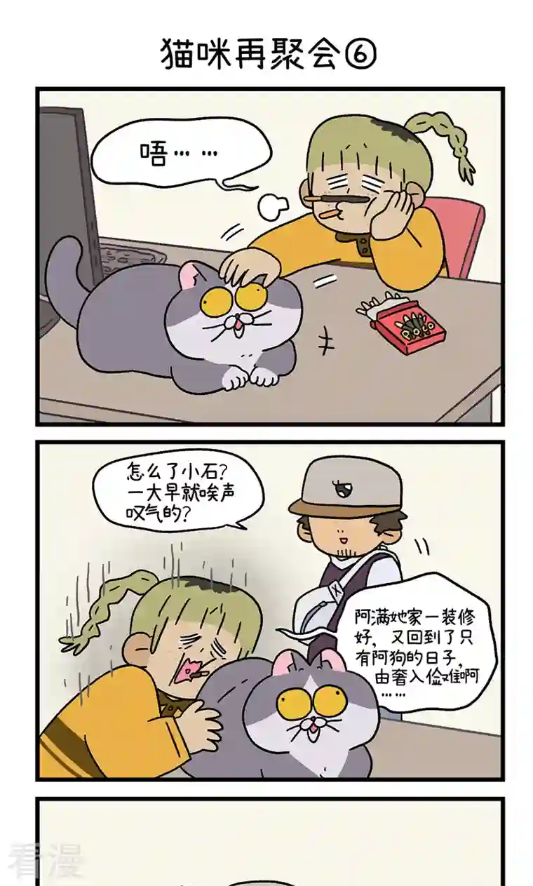 阿满和麦茶第82话2 猫咪再聚会