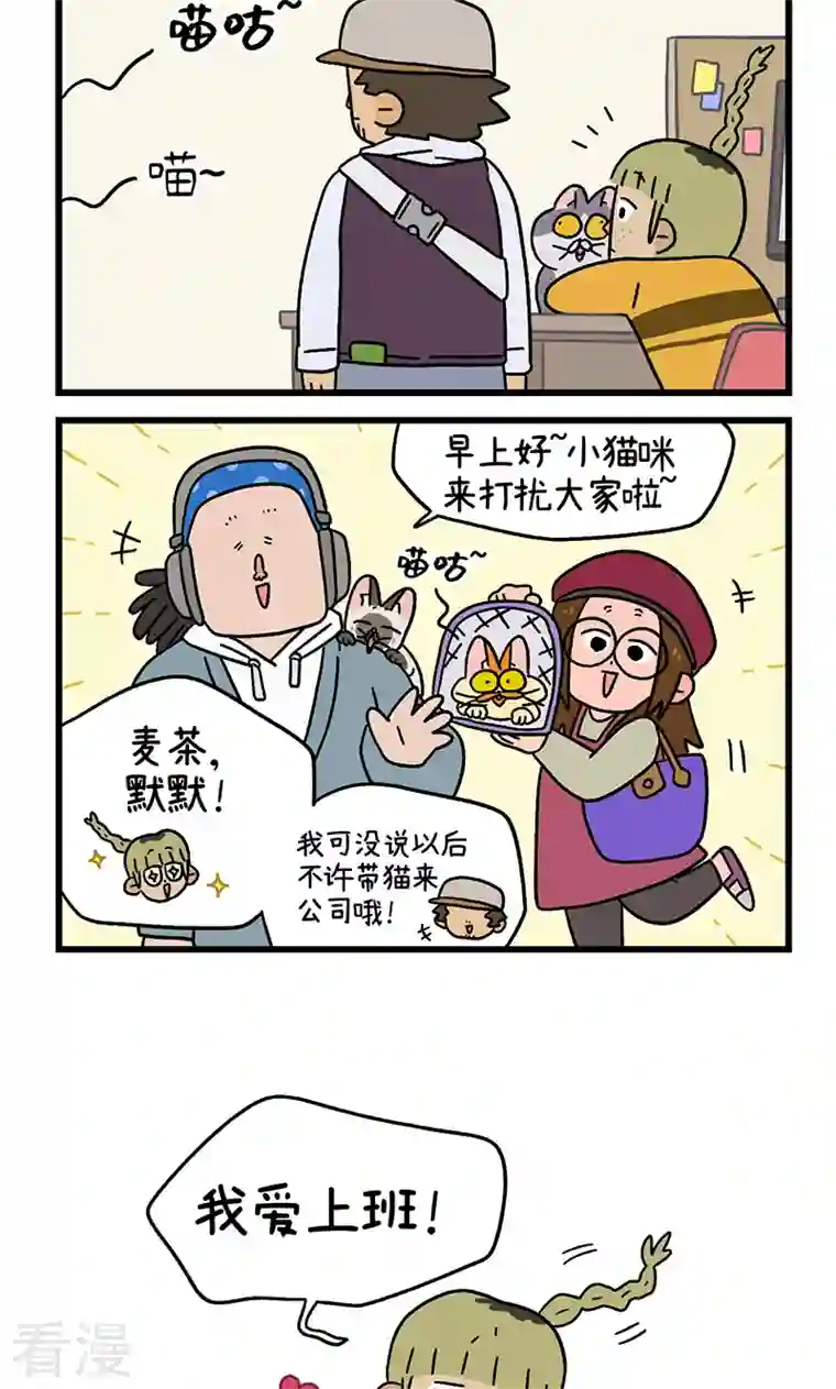 阿满和麦茶第82话2 猫咪再聚会