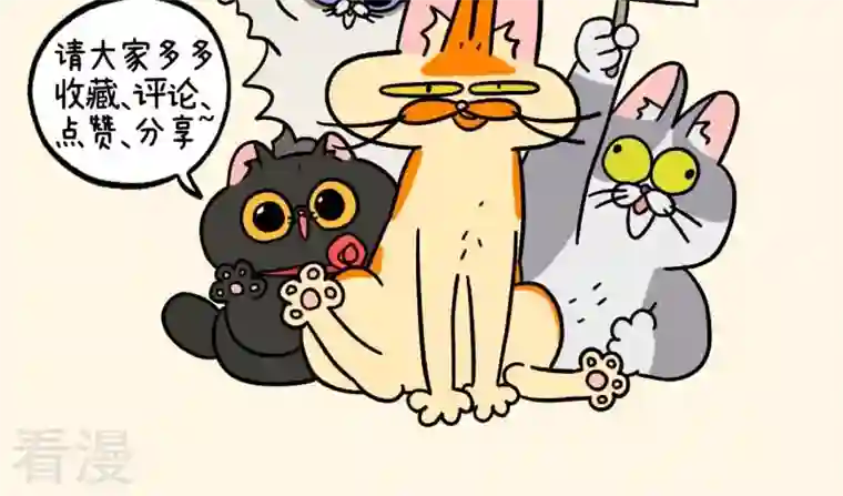阿满和麦茶第82话2 猫咪再聚会