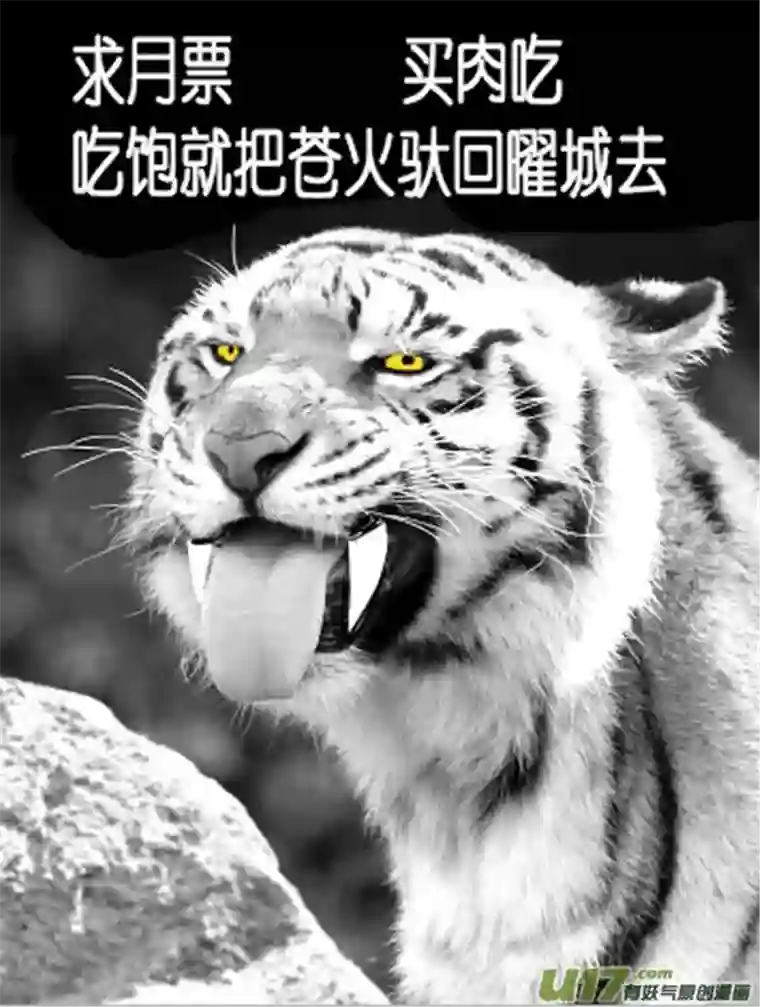 雪国欧皇公开！以及魔龙宝藏规则变动！