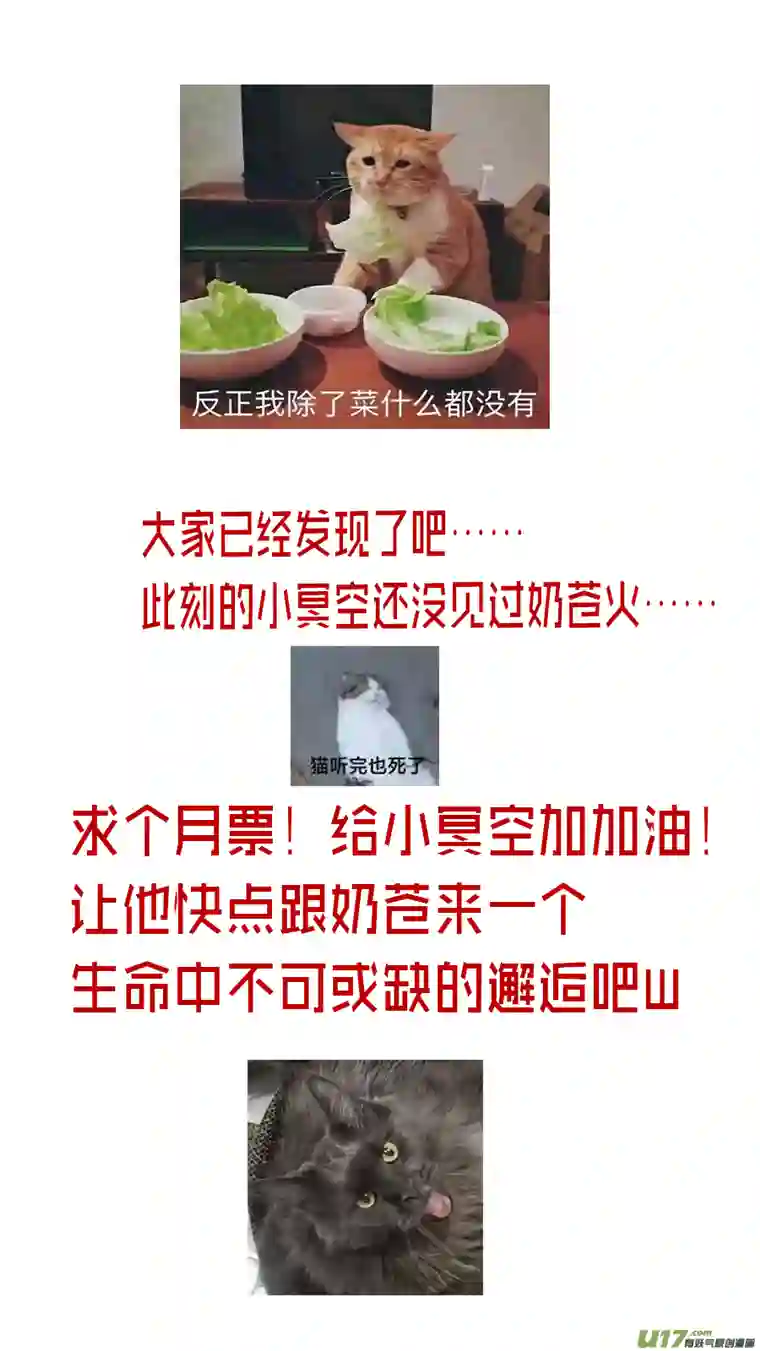 雪国若似月轮终皎洁 二