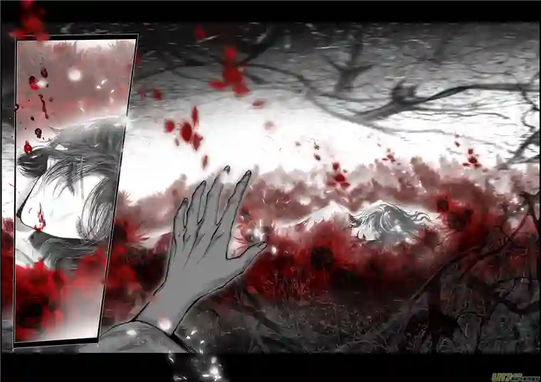 雪国繁霜尽是心头血 十