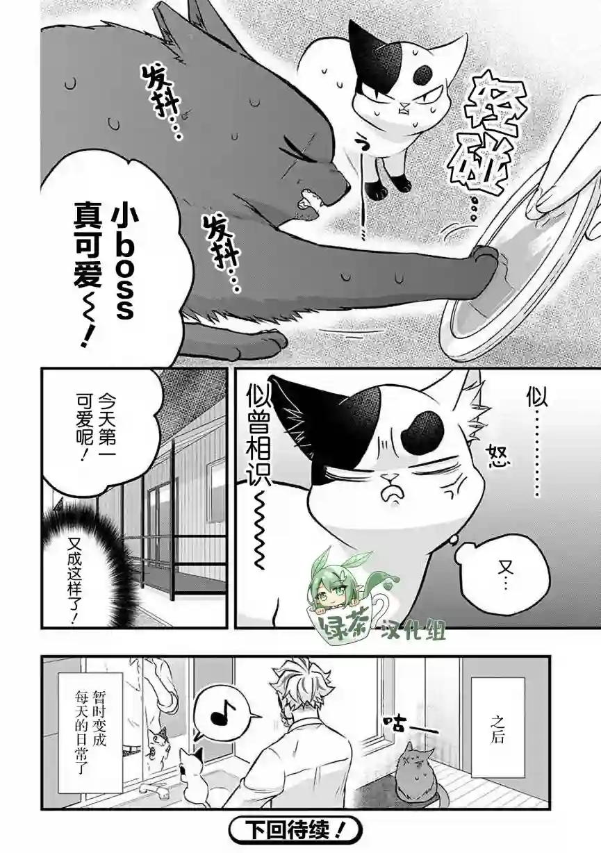 被遗弃的小猫咪与原黑道第29话