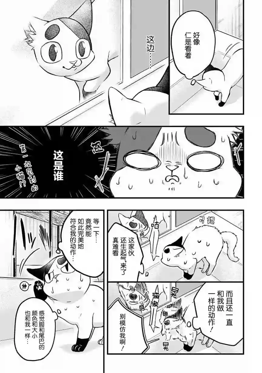 被遗弃的小猫咪与原黑道第29话