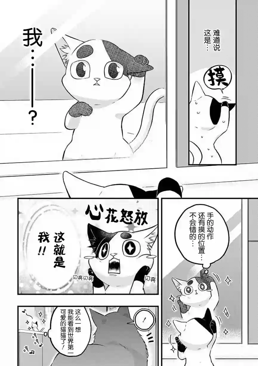 被遗弃的小猫咪与原黑道第29话