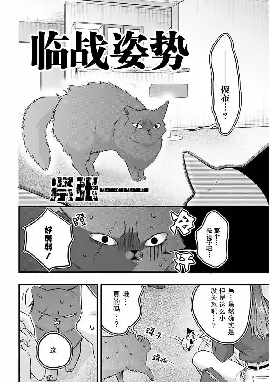 被遗弃的小猫咪与原黑道第29话