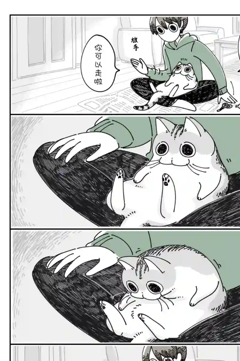 关于养猫我一直是新手第112话