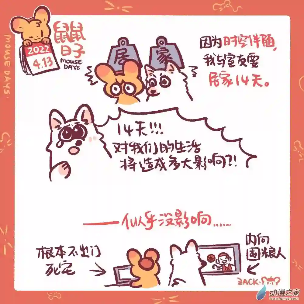 鼠鼠日子86 4月13日：居家观察