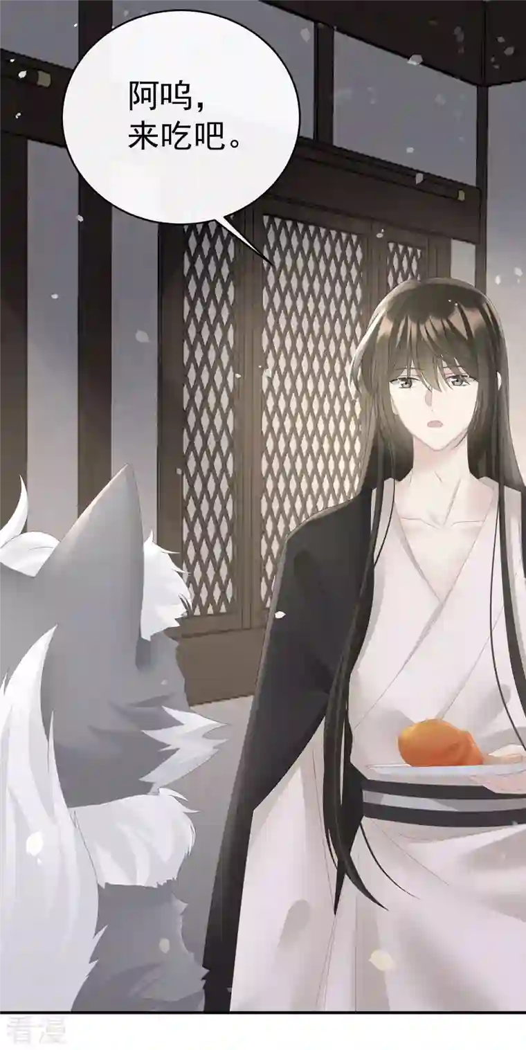 妻主，请享用第31话 不要停