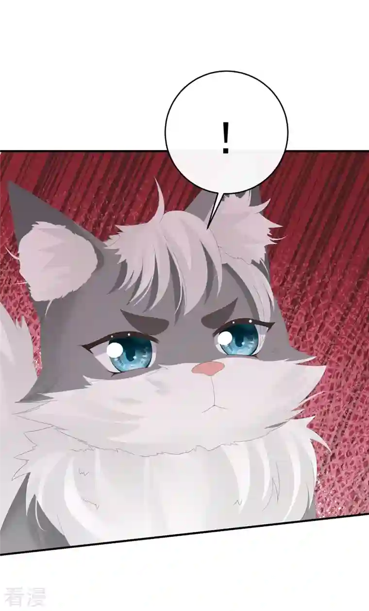 妻主，请享用第31话 不要停