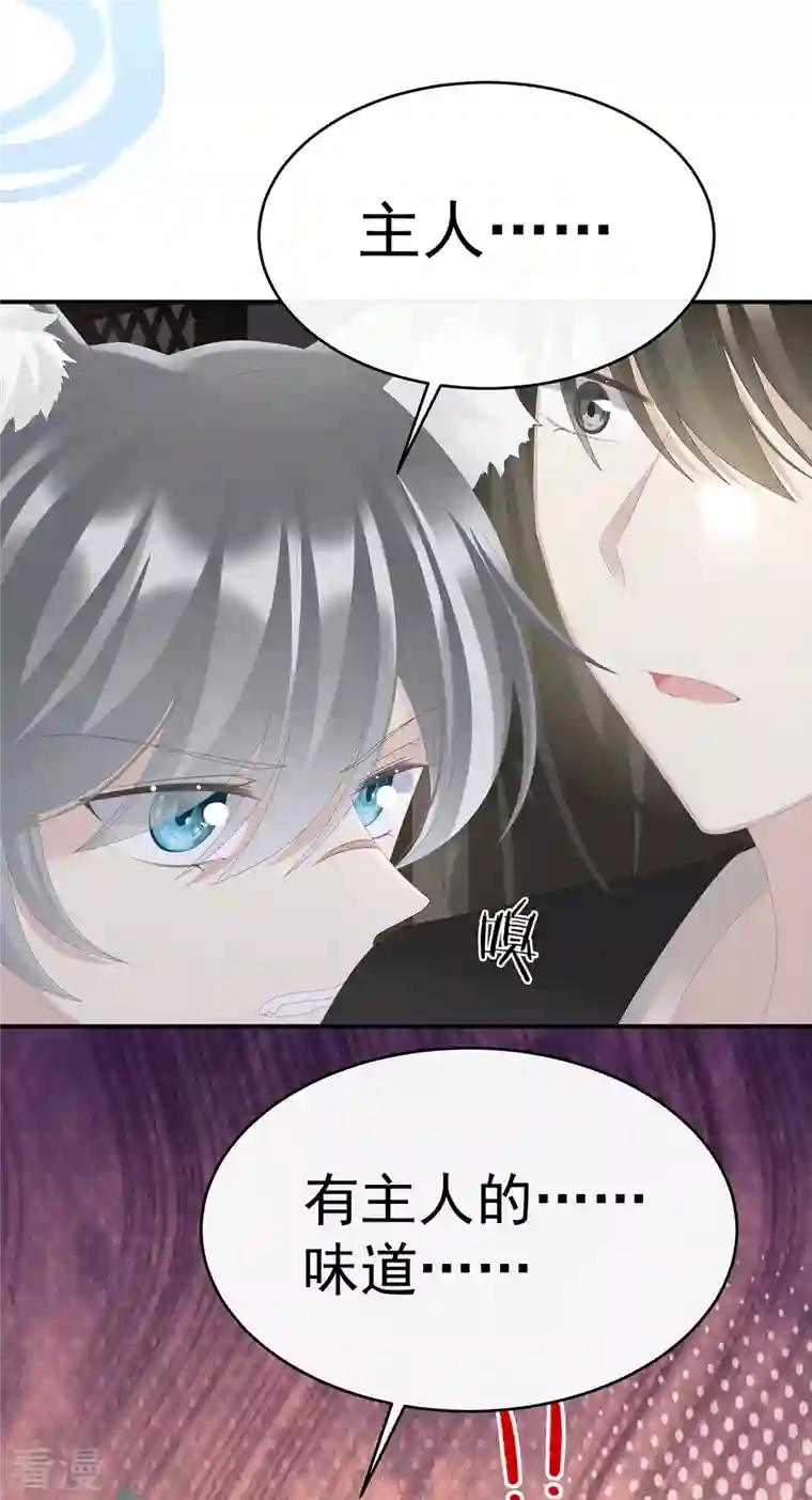 妻主，请享用第31话 不要停