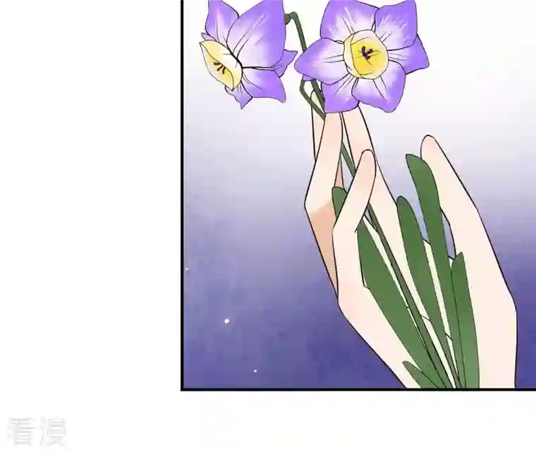 再生缘：我的温柔暴君第105话 子惜花无用