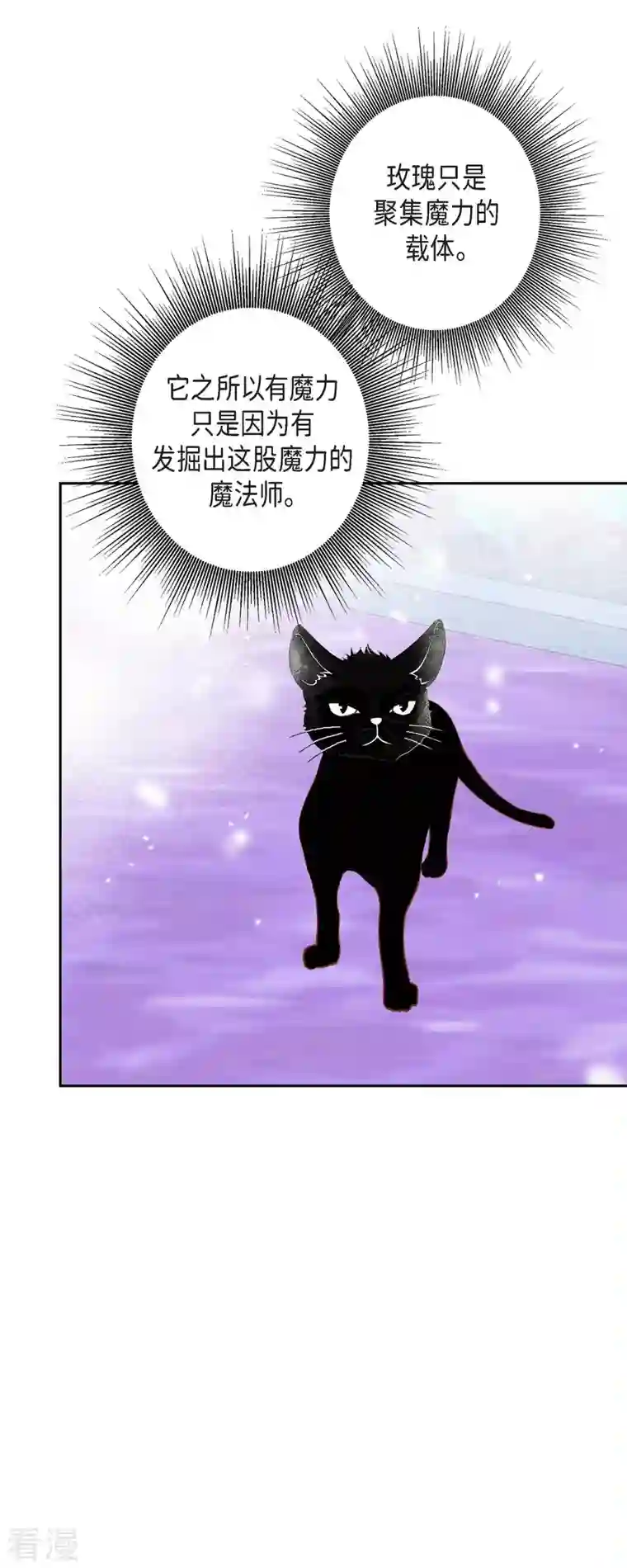 美女是野兽第32话 狮子王的魔法师