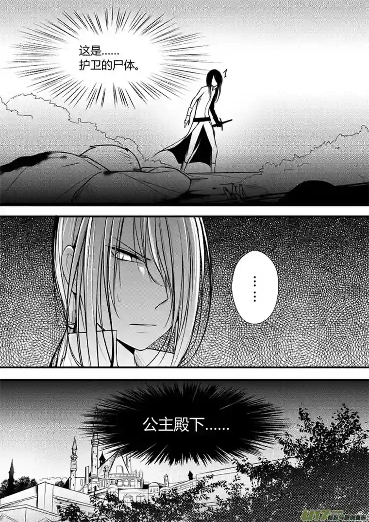 哑巴骑士8.刺客？