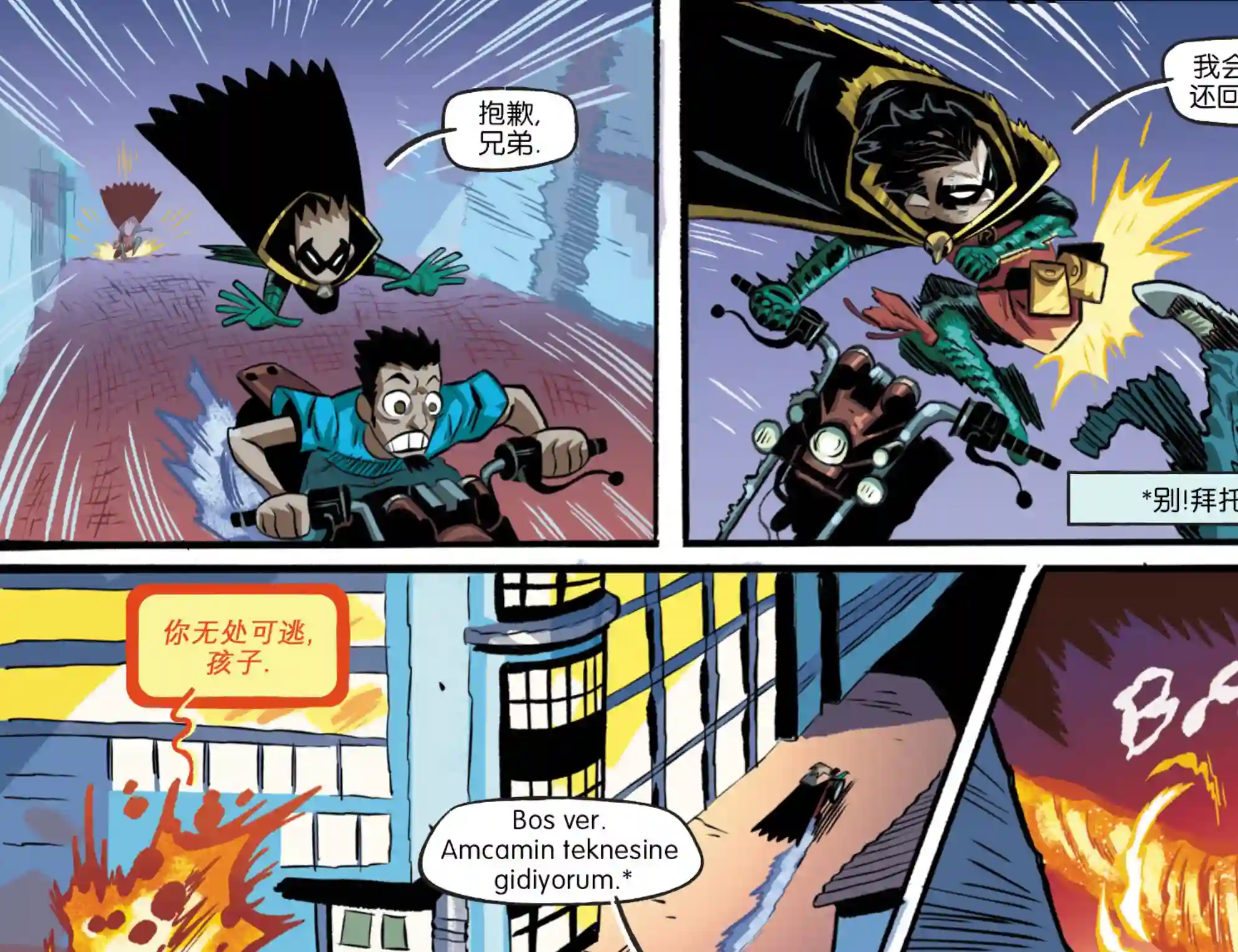 真理与正义第17卷