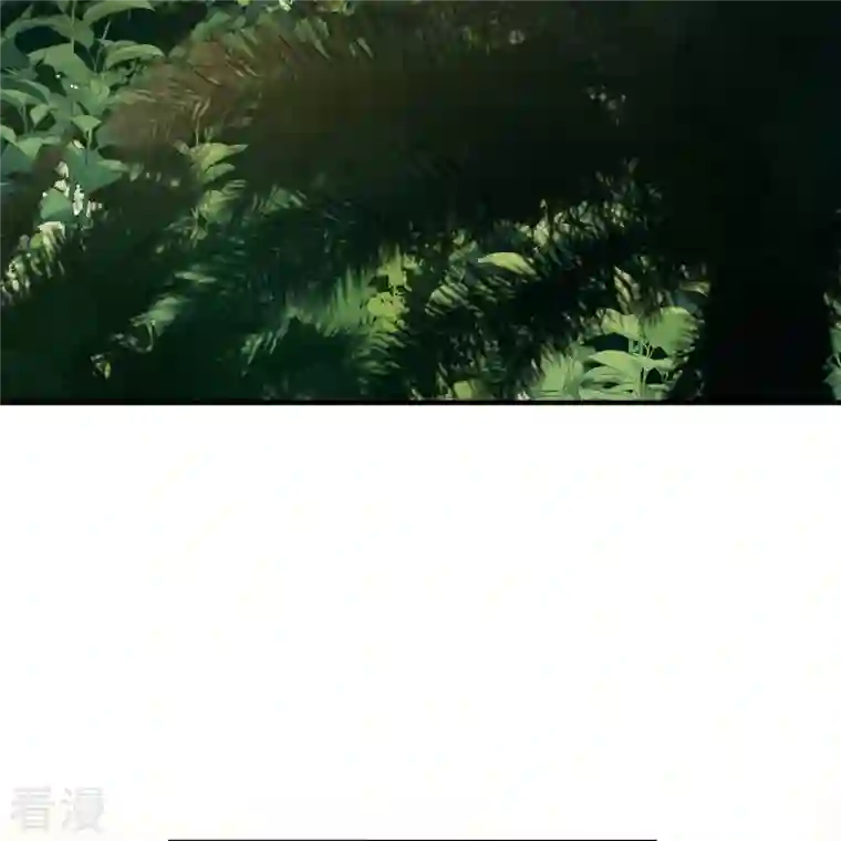 寻找前世之旅第2季第141话 前往奇琴伊察2