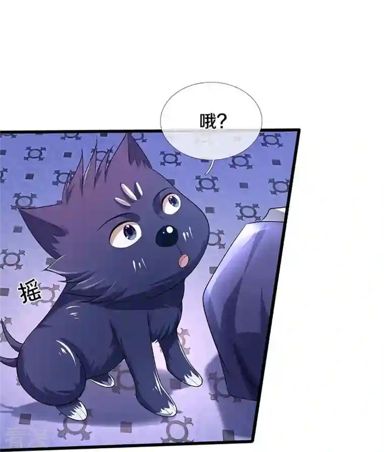 神武天尊第460话 天下修士是一家