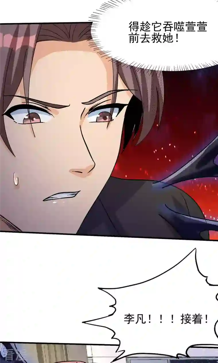 帝婿第117话 陆少轩欠收拾