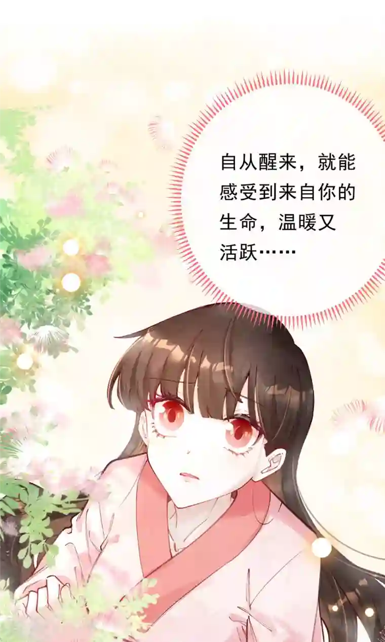一念合欢为君开最终话 我绝不负你