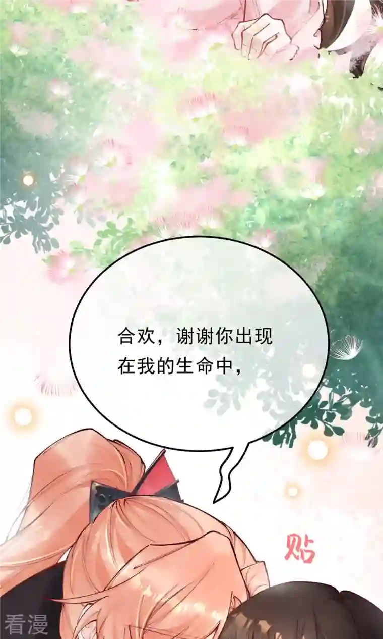 一念合欢为君开最终话 我绝不负你