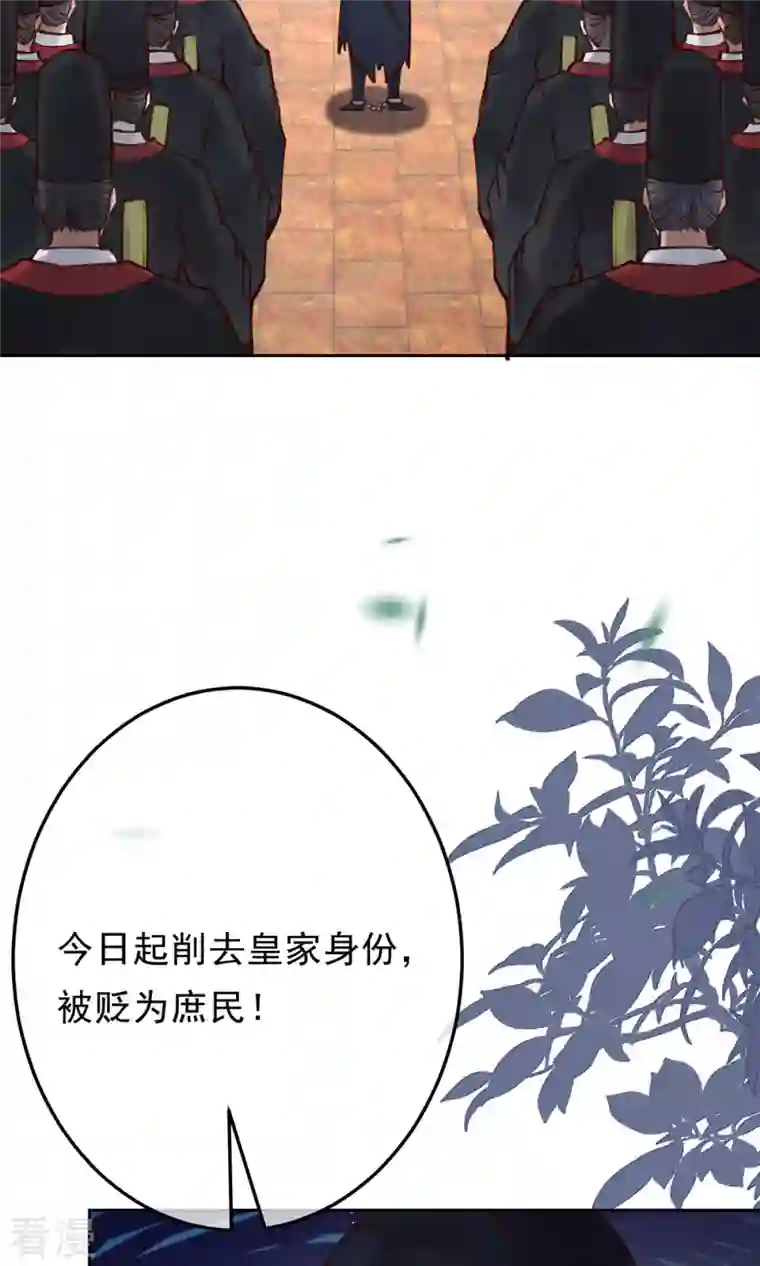 一念合欢为君开最终话 我绝不负你