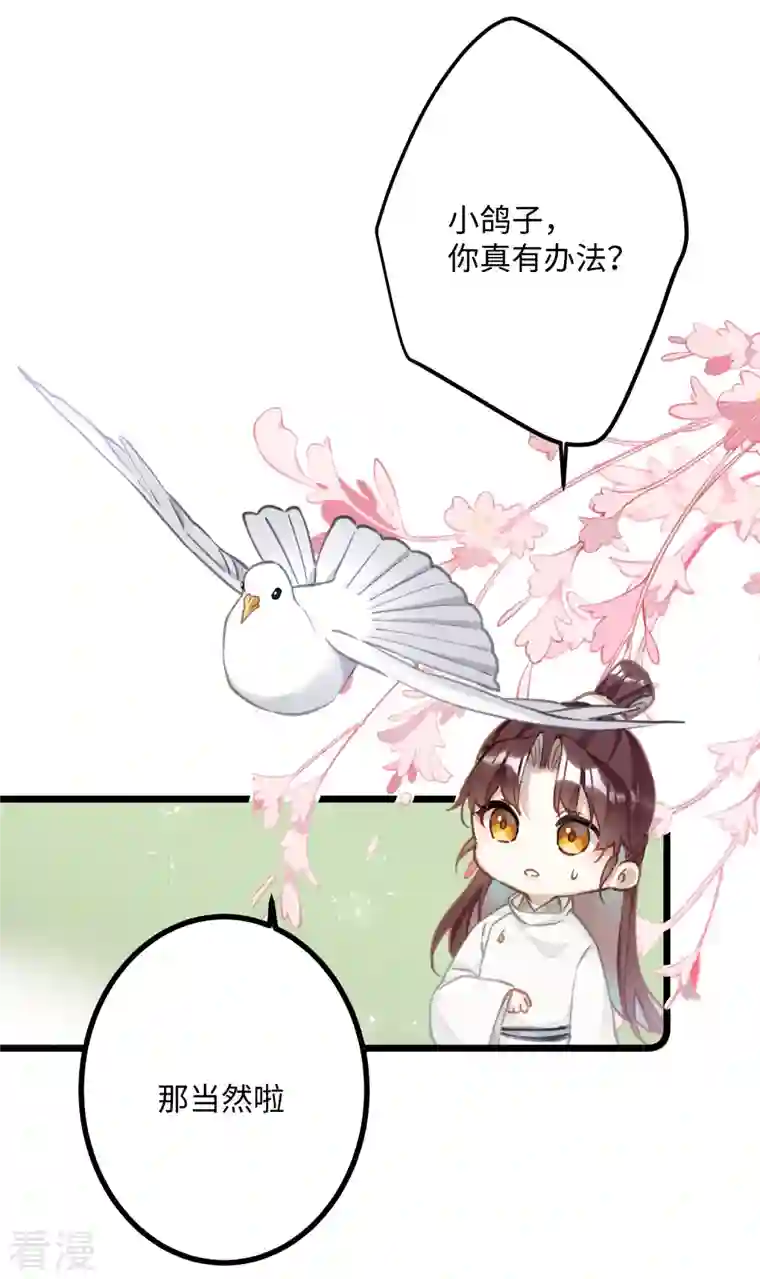 炮灰公主想苟到最后第74话 主人，不用再担心