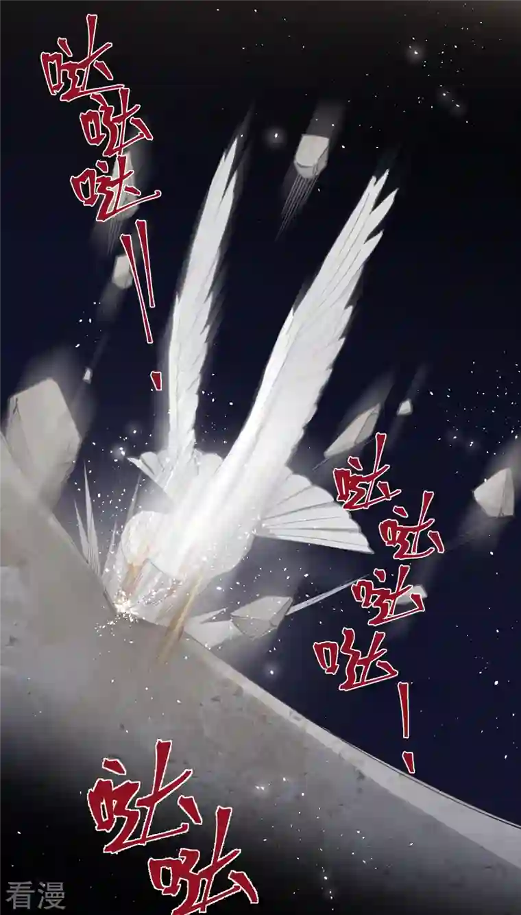 炮灰公主想苟到最后第74话 主人，不用再担心