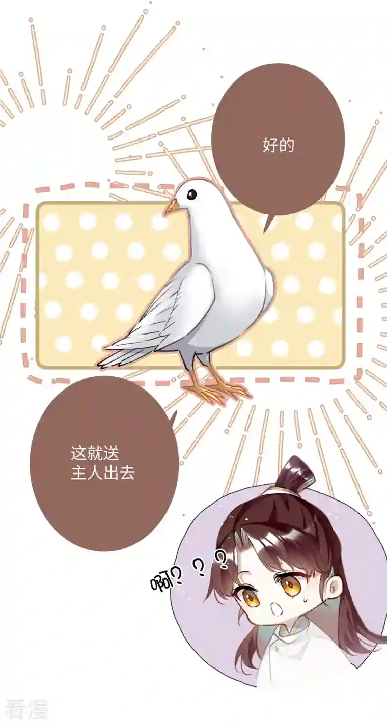 炮灰公主想苟到最后第74话 主人，不用再担心