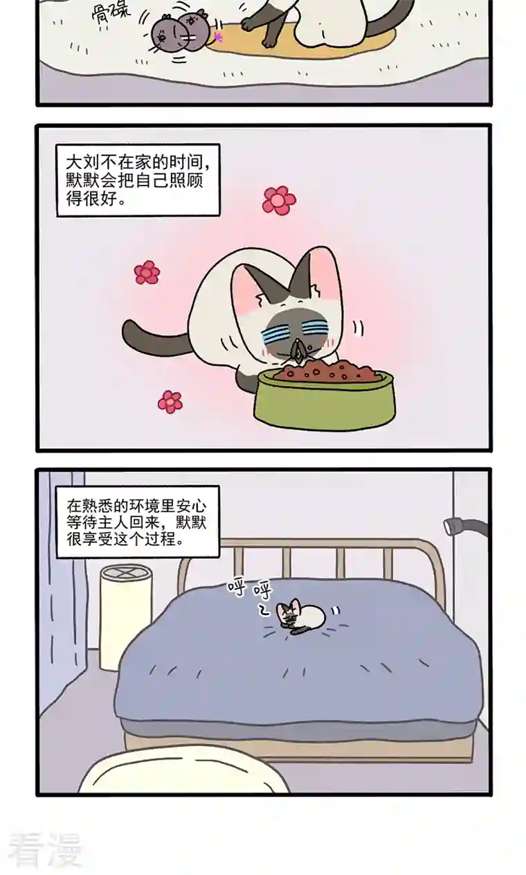 阿满和麦茶番外17上 默默的一天3