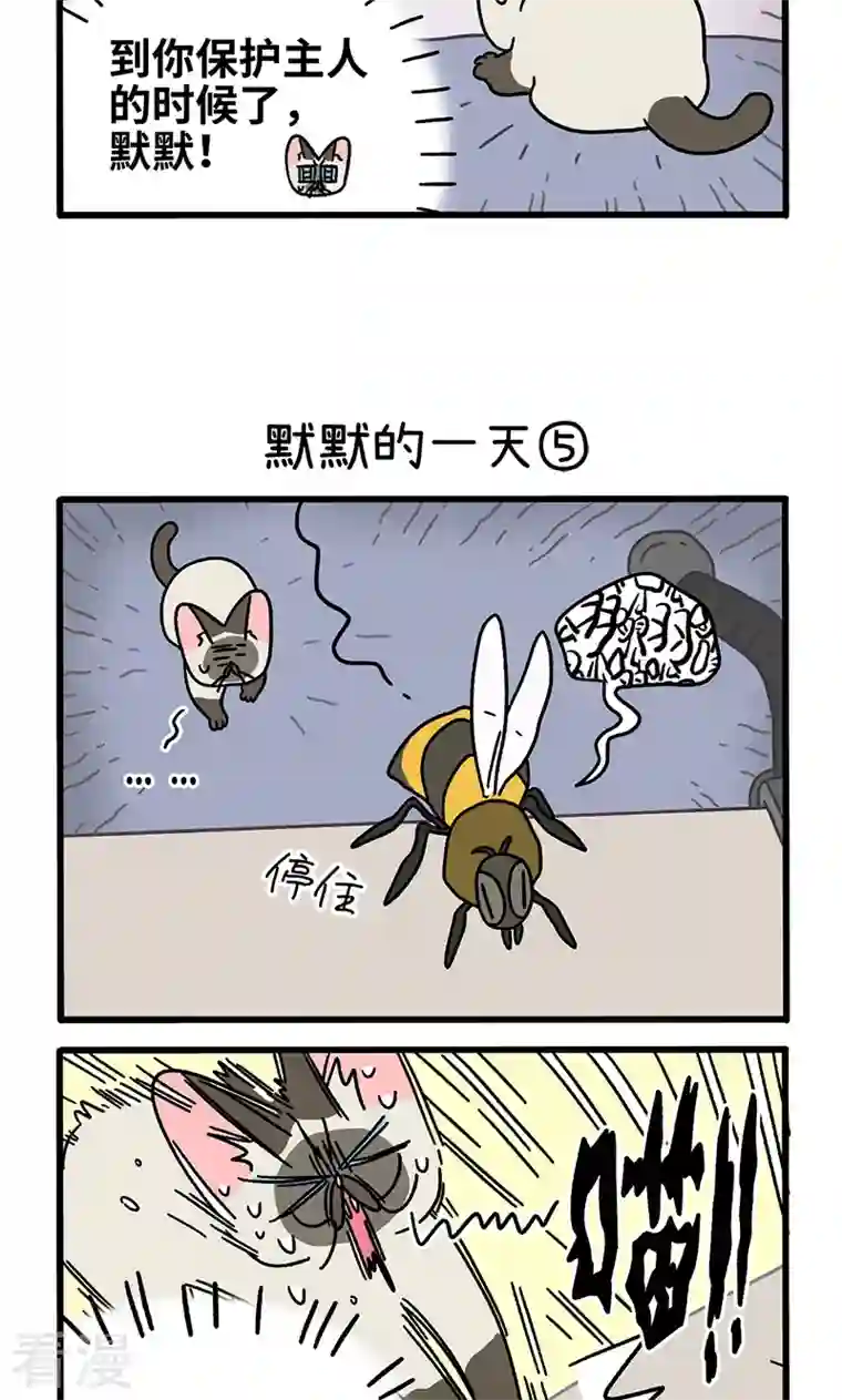 阿满和麦茶番外17下 默默的一天3