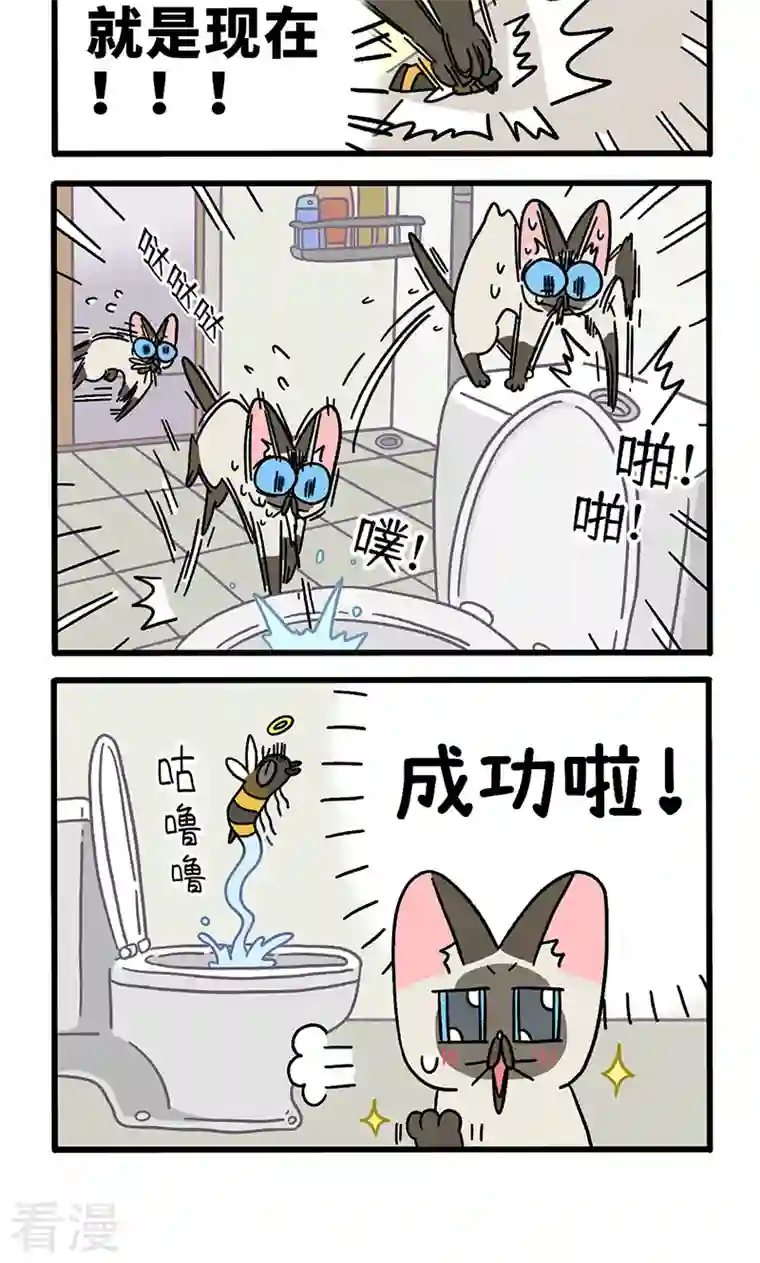 阿满和麦茶番外17下 默默的一天3