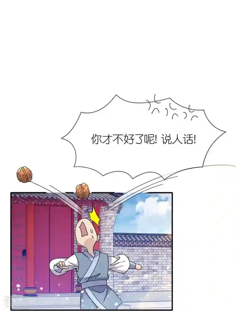 极品败家子第329话 双屿港