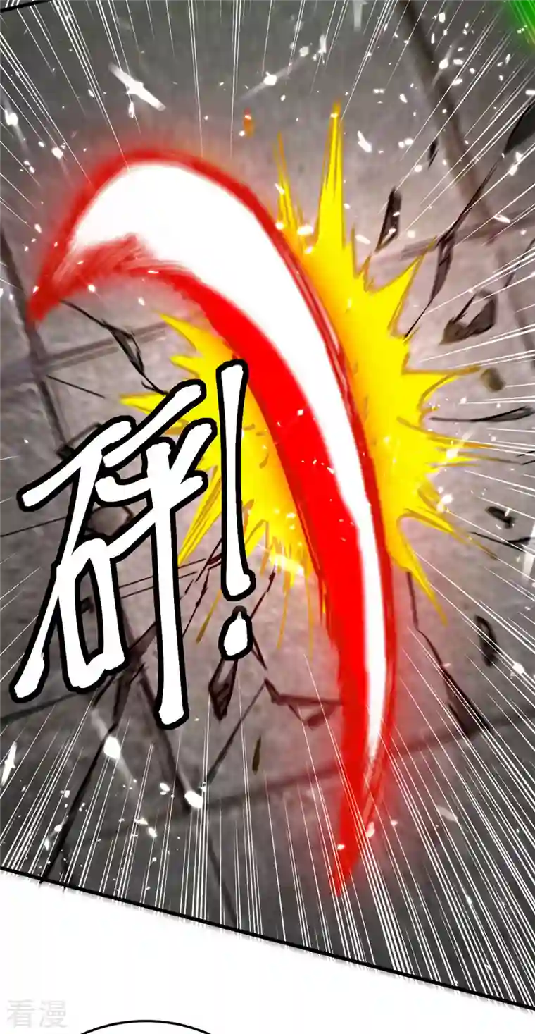 仙帝归来第304话 图图受伤