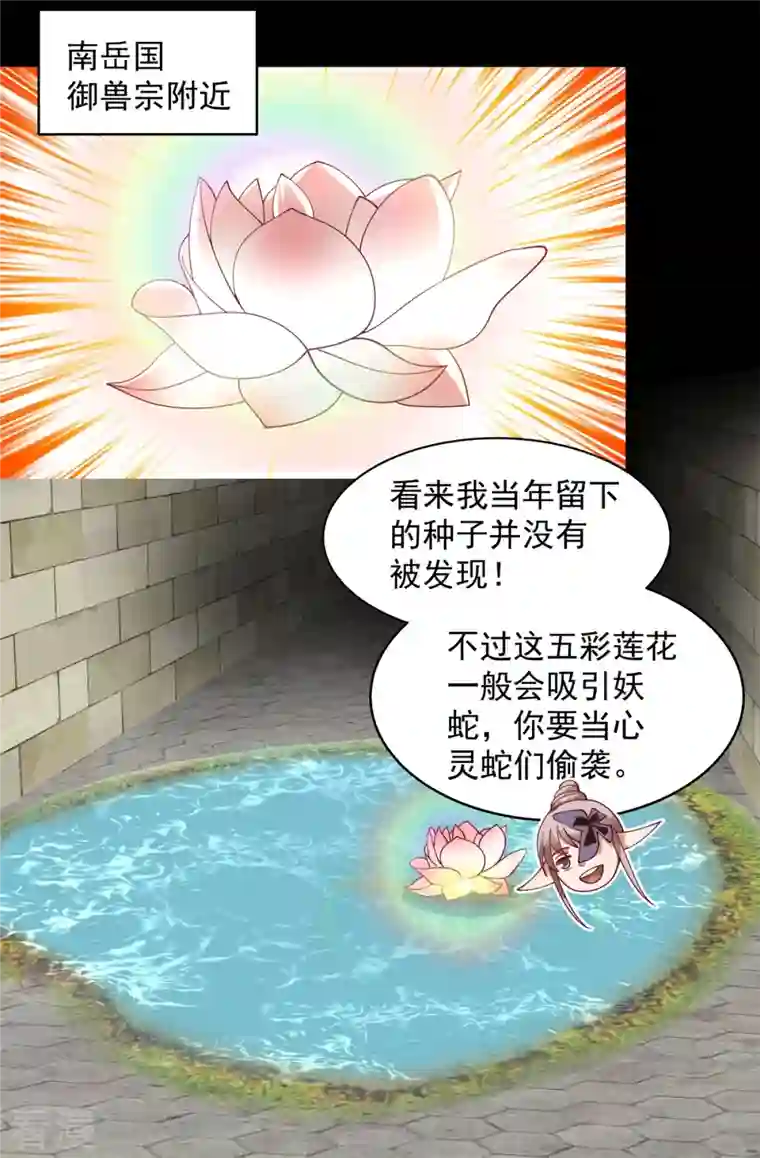 混沌丹神第262话 御兽宗的秘密