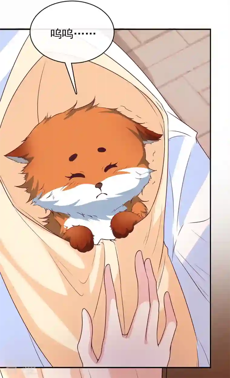 兽黑狂妃第165话 真像他啊……