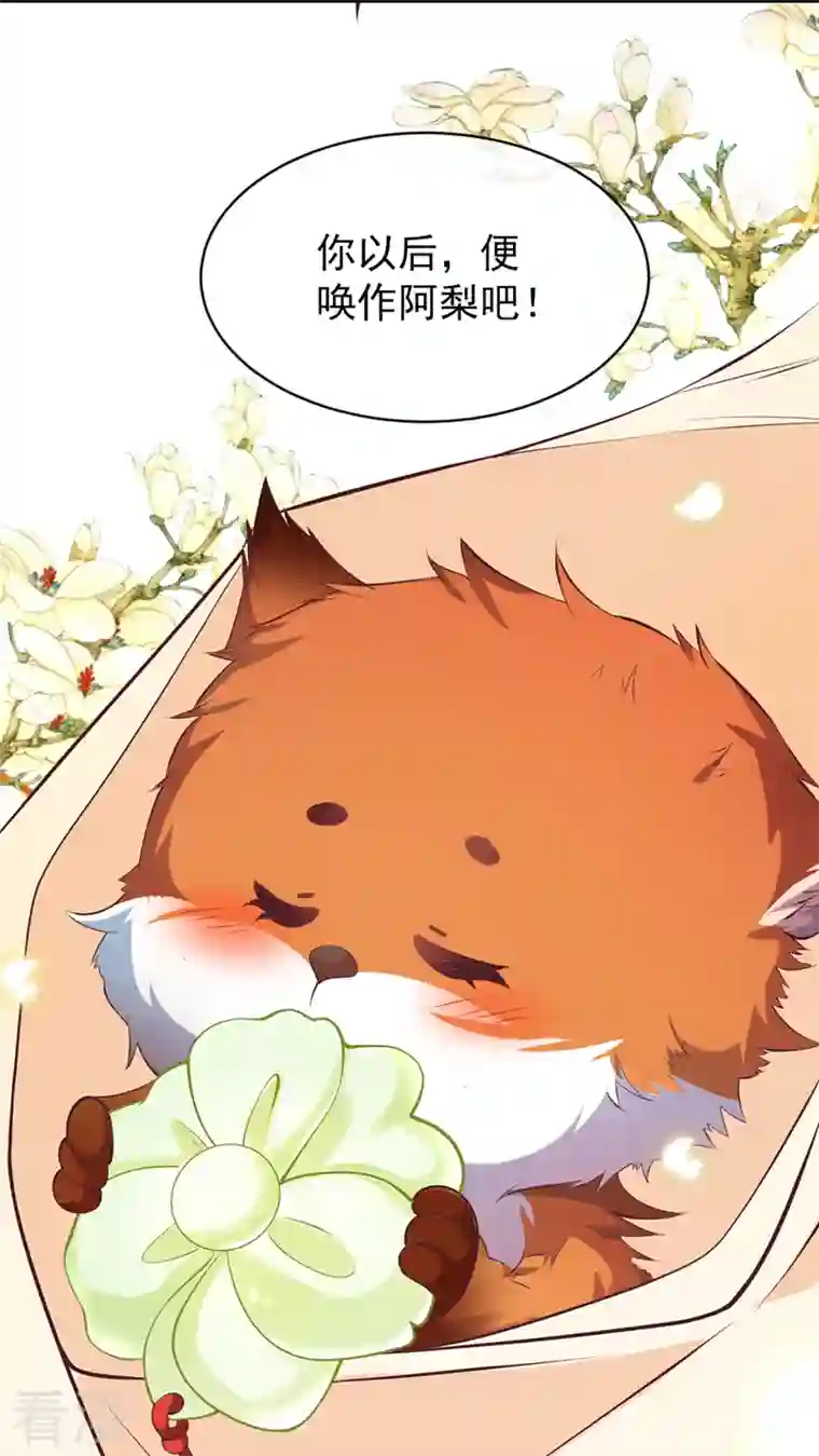 兽黑狂妃第165话 真像他啊……