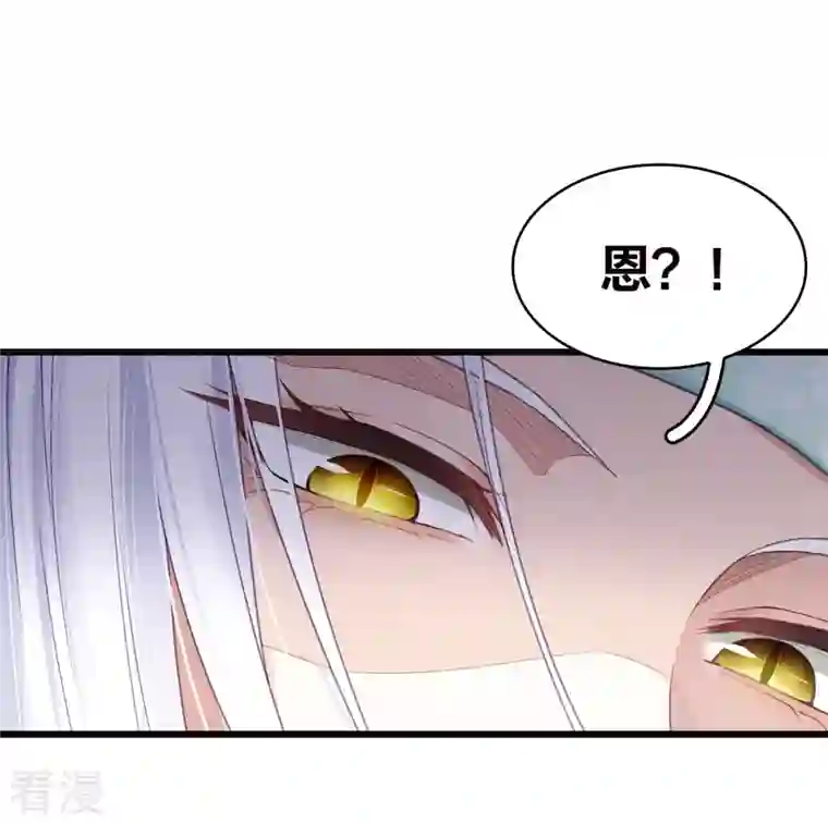 长相思番外4 身份