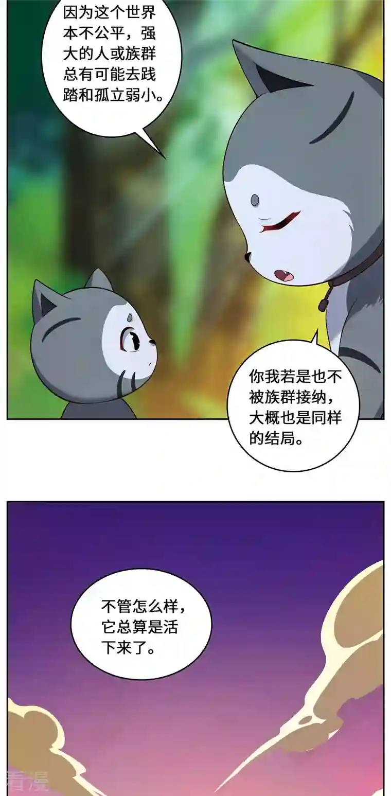 吾本是猫第84话 合作