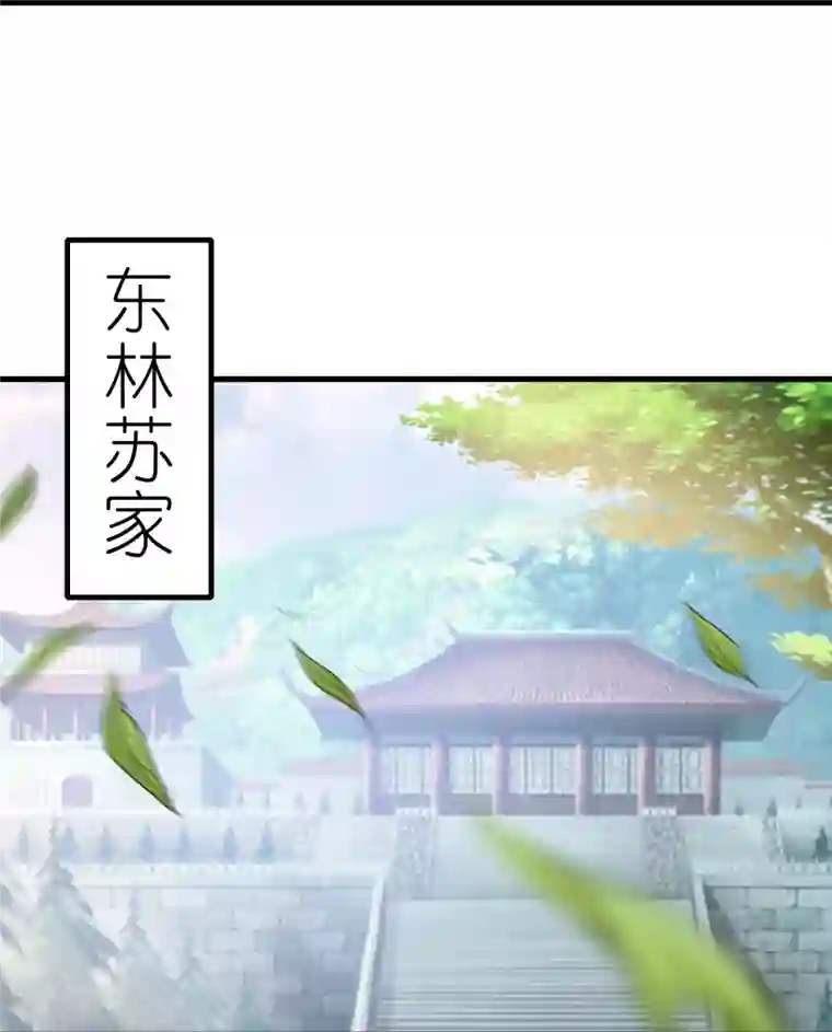 科技大佬来修仙第83话 苏家被袭