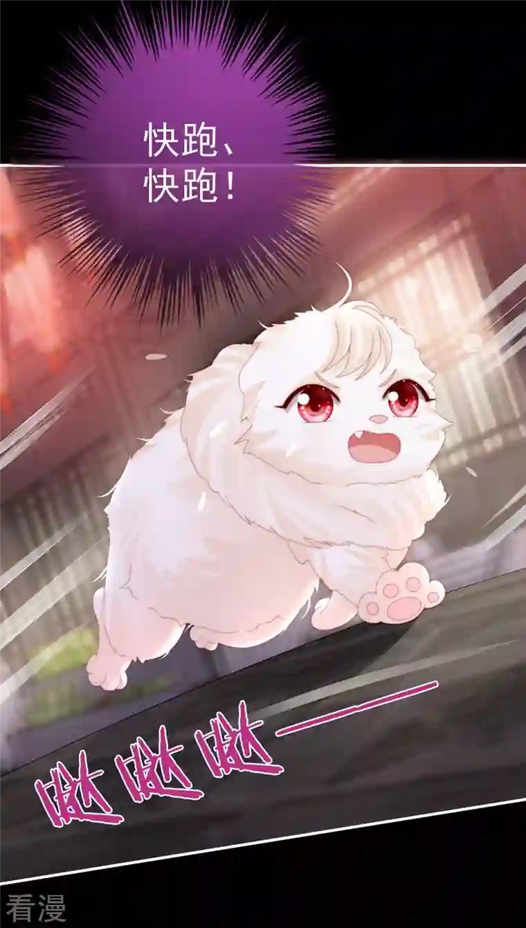 妻主，请享用第36话 姐姐，闭上眼睛