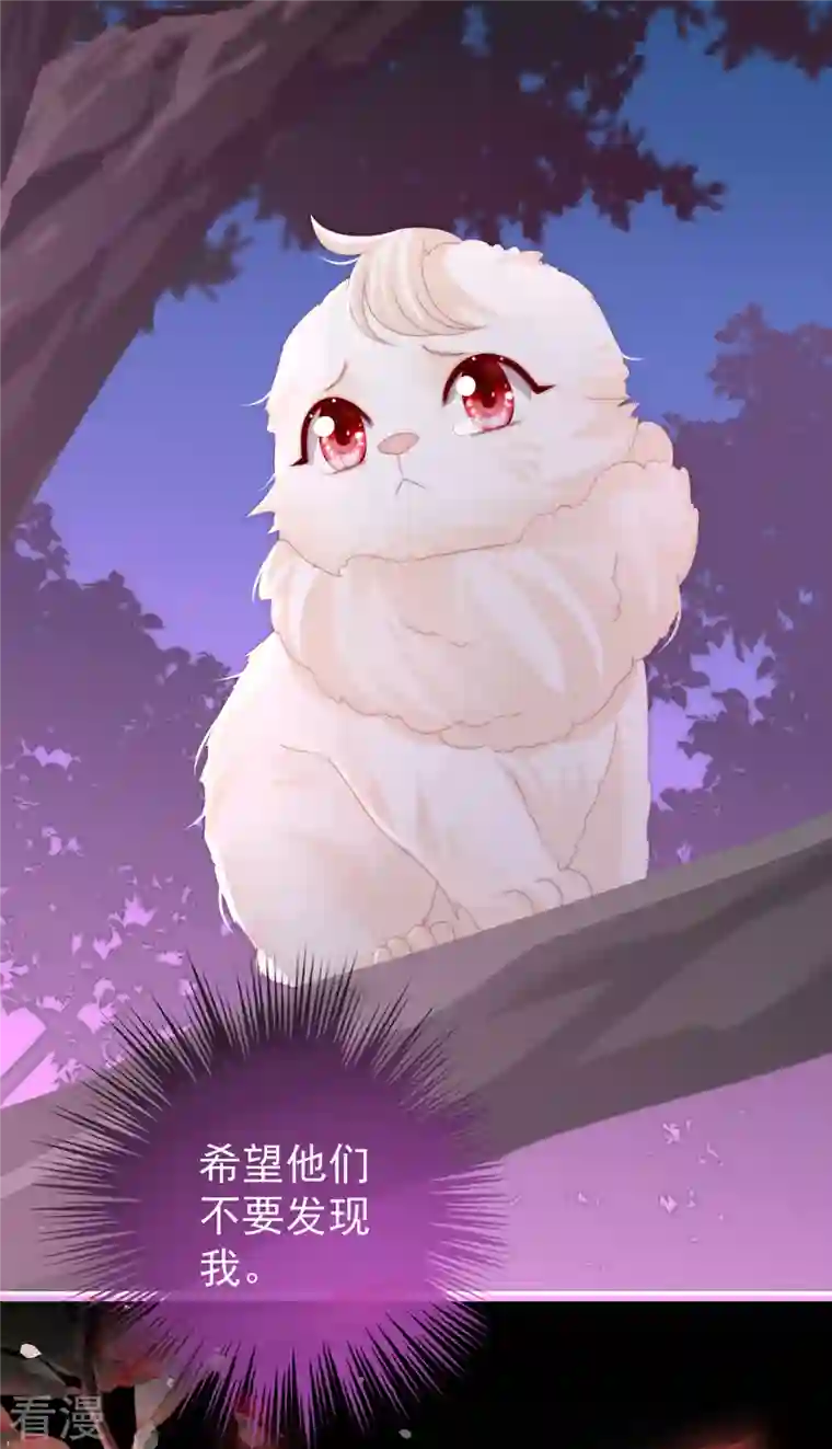 妻主，请享用第36话 姐姐，闭上眼睛