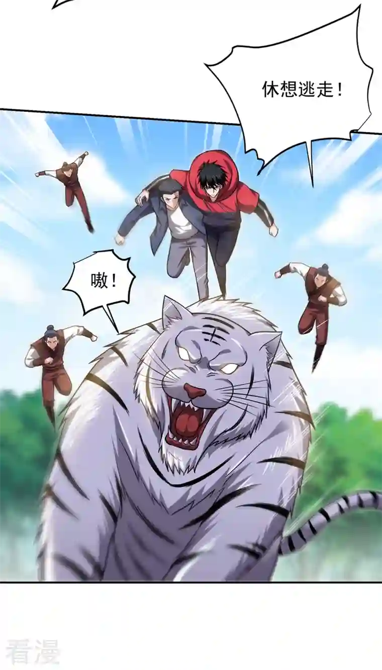 古武高手在都市第307话 他的狗命迟早会取！