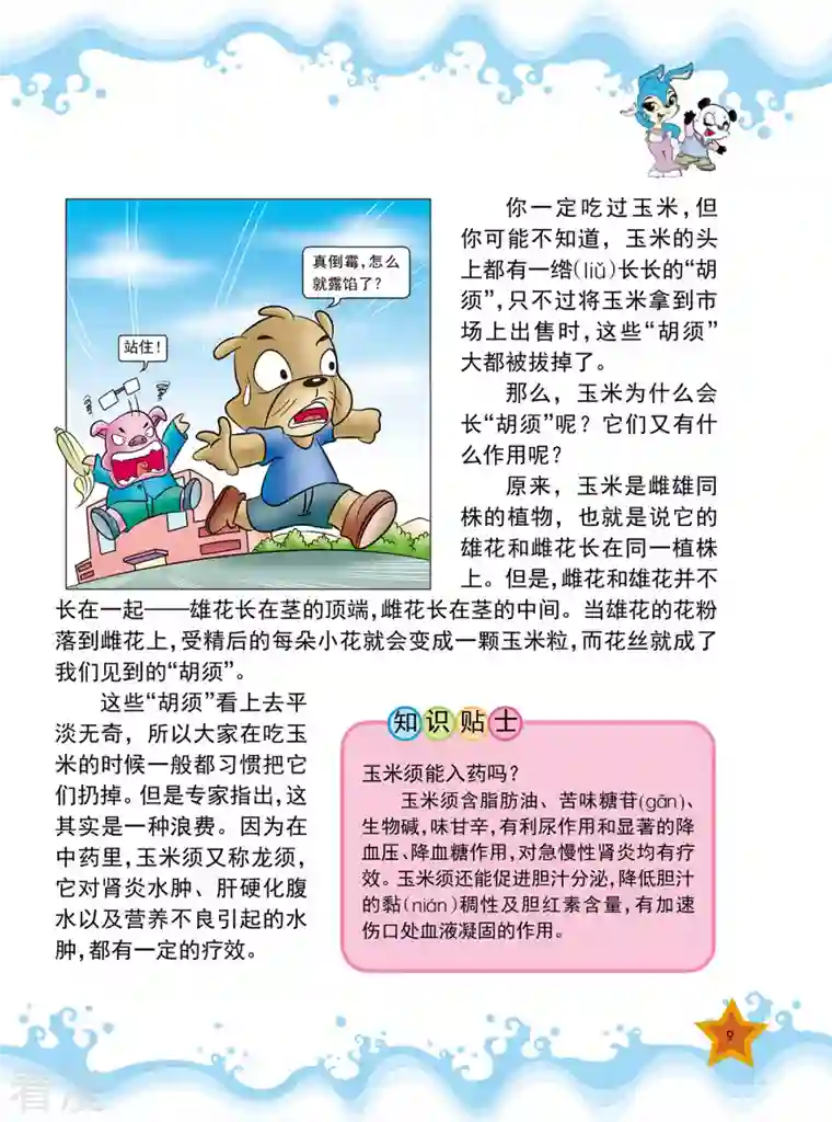 虹猫蓝兔十万个为什么之植物卷第1话