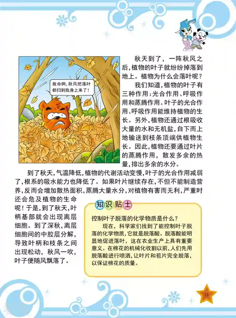 虹猫蓝兔十万个为什么之植物卷第1话