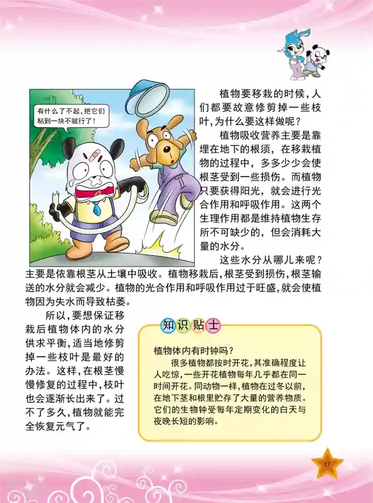 虹猫蓝兔十万个为什么之植物卷第2话