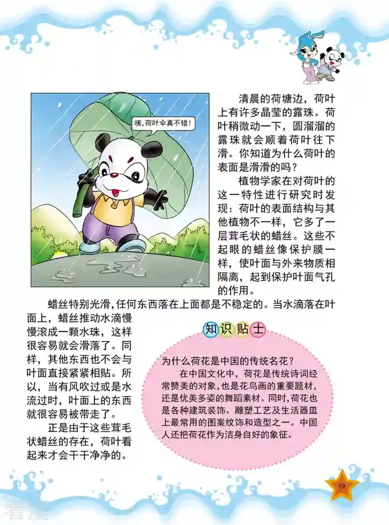 虹猫蓝兔十万个为什么之植物卷第2话