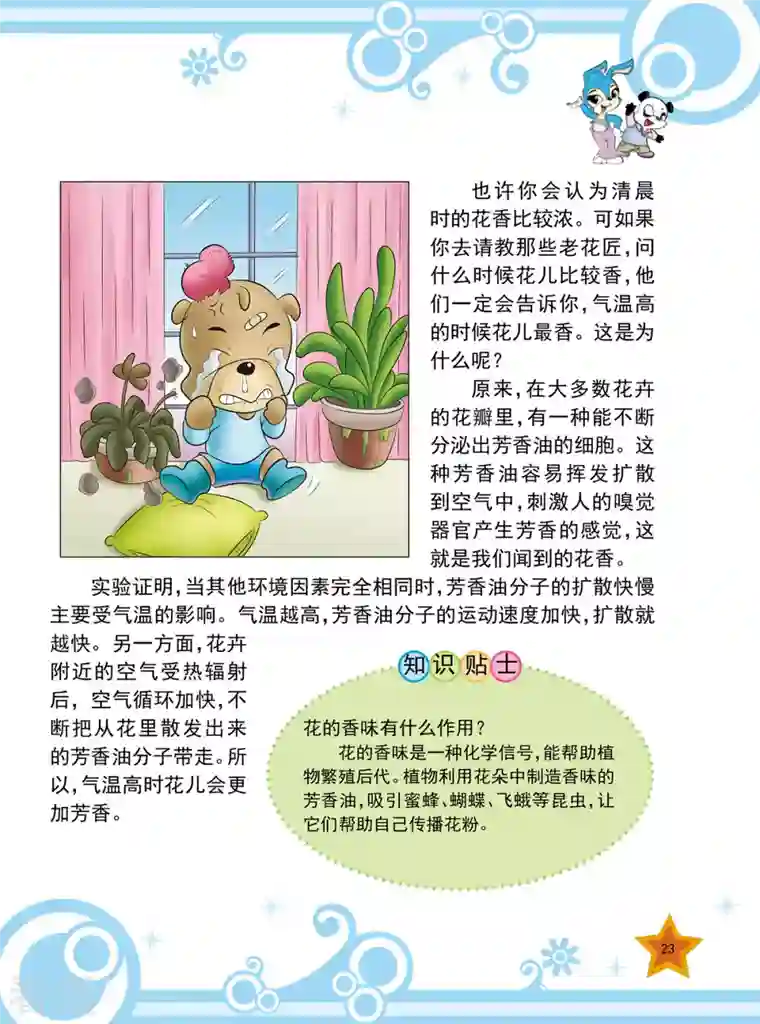 虹猫蓝兔十万个为什么之植物卷第2话