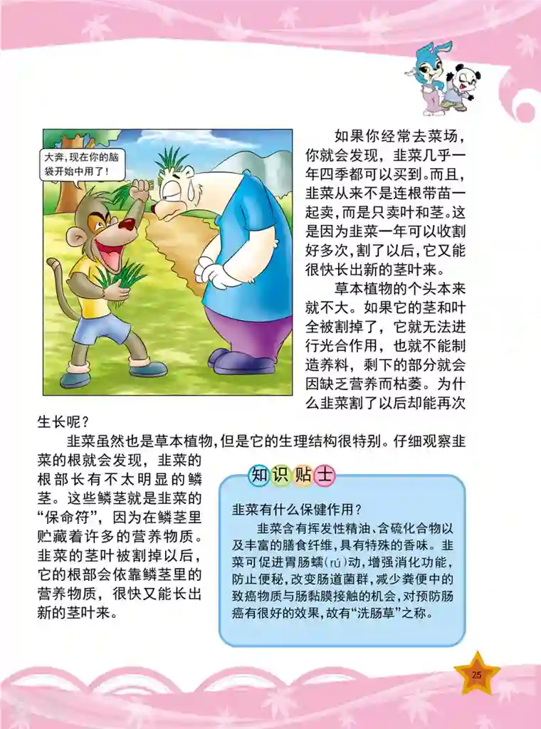 虹猫蓝兔十万个为什么之植物卷第3话